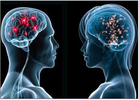 5月2号，医药经济报上发表了关于陈春麟博士的报道——CRO的中国式崛起路径