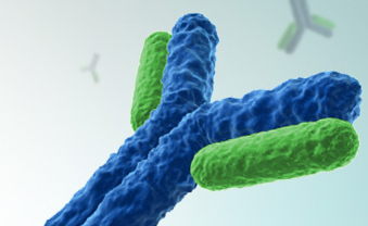 蛋白质分离纯化HJC黄金城平台公司