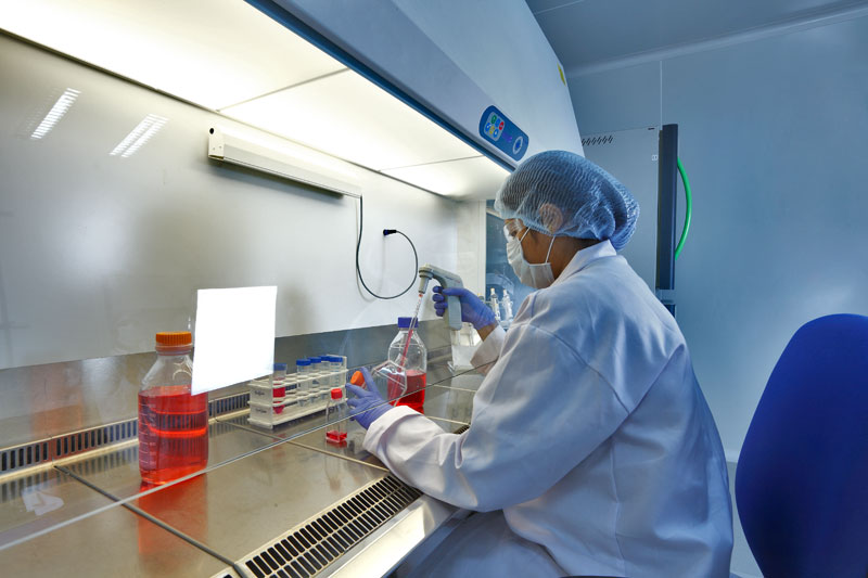 2015年药品特殊审评数据分析：哪些新药搭上了快车？