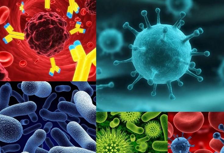 肿瘤免疫疗法：战略对头战术乏力