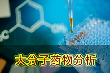 HJC黄金城平台大分子药物分析服务