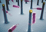 未来的药丸里，可能有一万亿个人工改造的细菌？