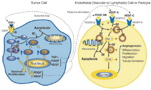 多靶点药物：创新药物设计的重要思路