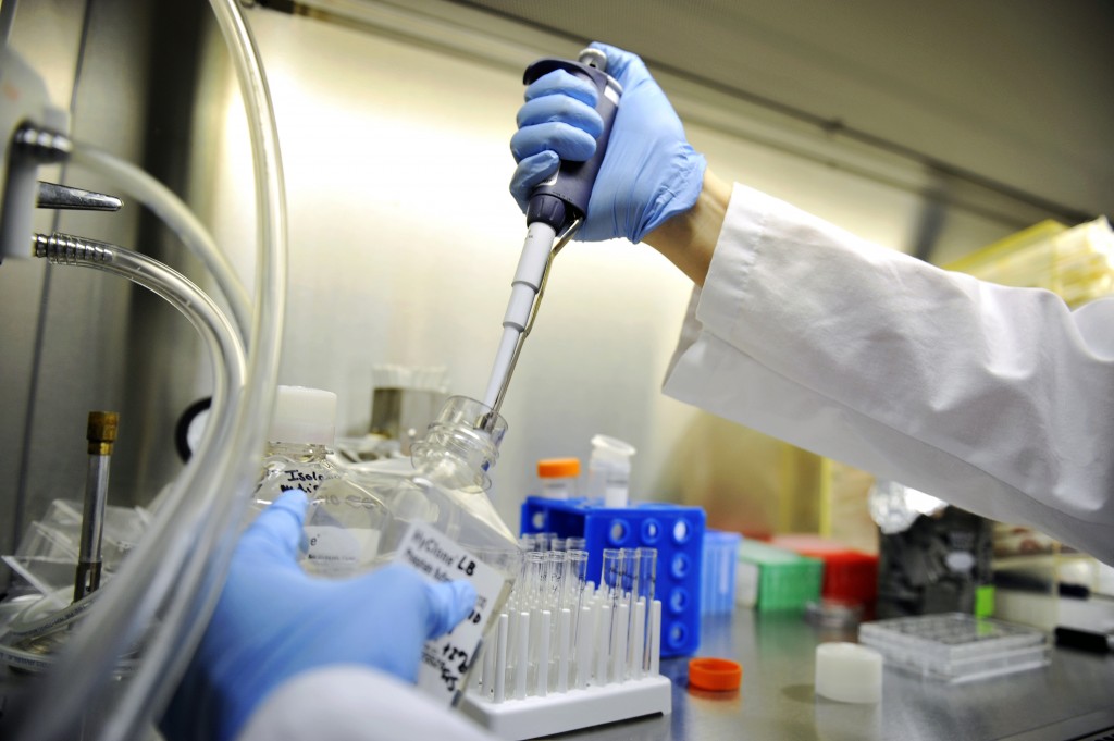 一致性评价需要遵循哪些技术指导原则以及技术要求？