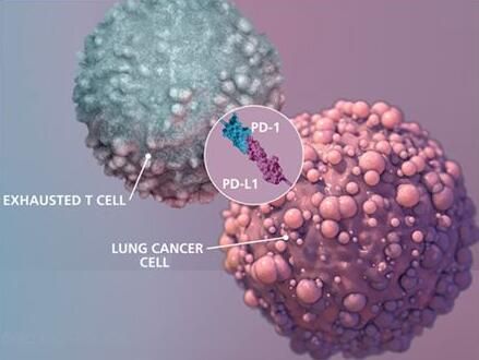 2017年度巨献：癌症免疫疗法重磅级研究解读
