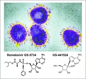 基于细胞因子风暴和免疫炎症反应综合征，很多免疫相关靶点也可以列为冠状病毒的靶点。