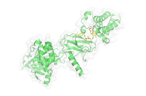 PROTAC技术，马兴泉