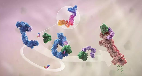 LYTAC出世，与PROTAC并肩作战针对不可成药的靶点