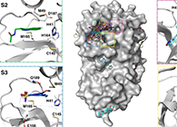 【Nature子刊】国际团队联合力量，加速基于COVID-19结构的药物设计！
