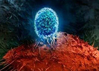 Nature：BATF3改善T细胞记忆应答，有望改善免疫疗法的疗效