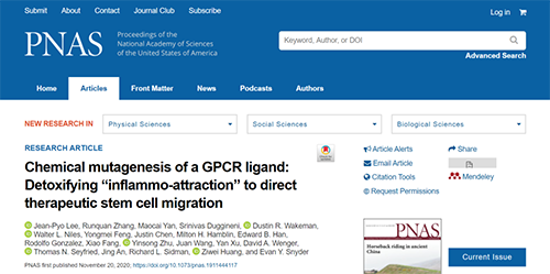 世界首创：药物将干细胞引导至受损部位，提高其愈合能力！