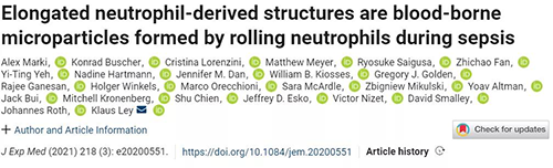 一种神秘颗粒被发现了 ！它能否成为败血症早筛标志物？