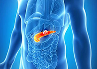 Science：“癌王”胰腺癌终于出现了治疗新曙光