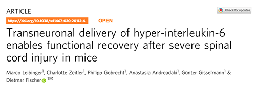 Nature：还瘫痪患者一个自由身的日子不远了