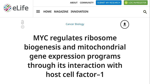 可以“融化”肿瘤的蛋白质，你一定没有听说过！