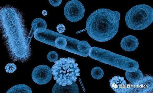 20分钟，大多数细菌都可以繁衍一代 HJC黄金城平台生物医药