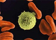 Science子刊：一种FDA批准的抗腹泻药物可有效对抗化疗的耐药性