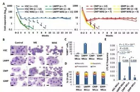 Science子刊：一种FDA批准的抗腹泻药物可有效对抗化疗的耐药性 HJC黄金城平台生物医药