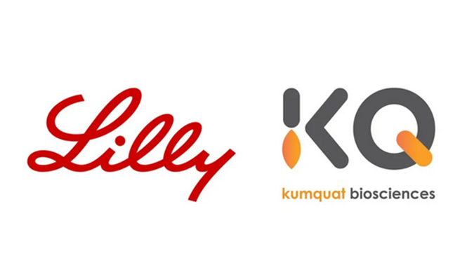 ：兀JC黄金城平台合作伙伴Kumquat Biosciences与礼来达成合作，共同开发肿瘤免疫小分子药