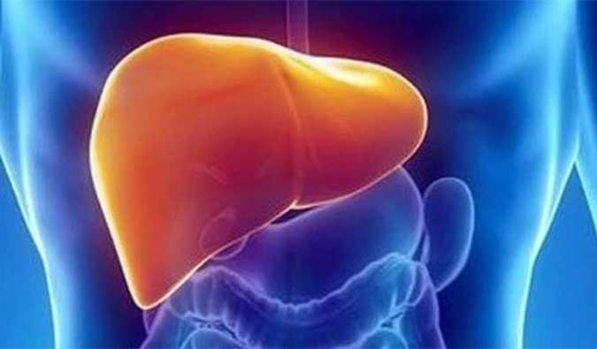 【HJC黄金城平台助力】NASH领域新进展！海普丁HPD001即将在美启动临床试验