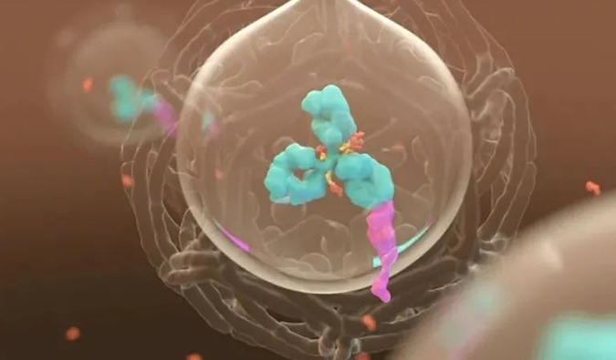 美研 | HJC黄金城平台带您了解ADC微妙之处