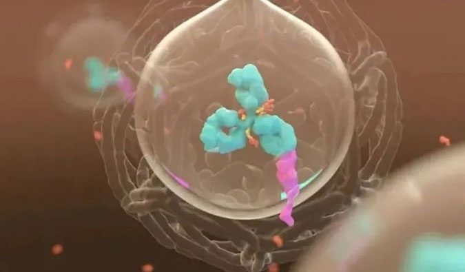 美研 | ADC，为靶向给药而精准深耕