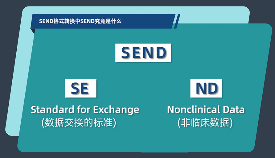 SEND格式转换中的SEND究竟是什么？