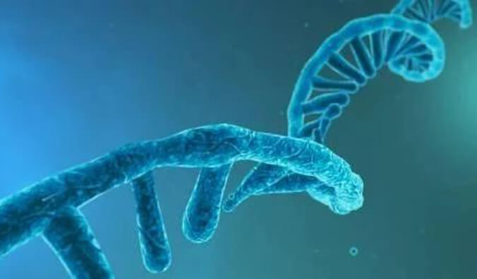 美研丨寡核苷酸药物市场前景、发展挑战及应对策略