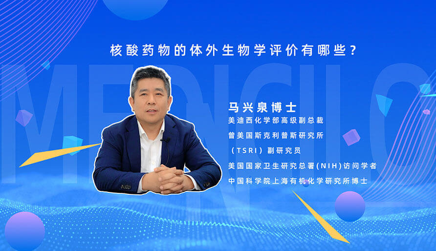 核酸药物的体外生物学评价有哪些？