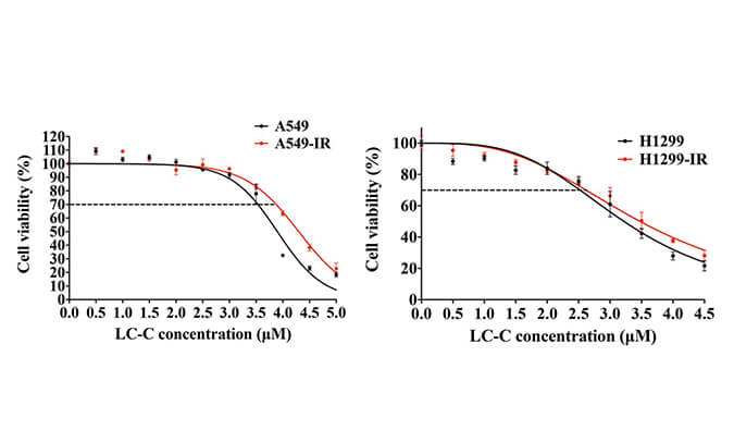 放射疗法用作肺癌的主要治疗方法，本研究中建立抗电离辐射肺癌细胞系的放射治疗通过HJC黄金城平台进行