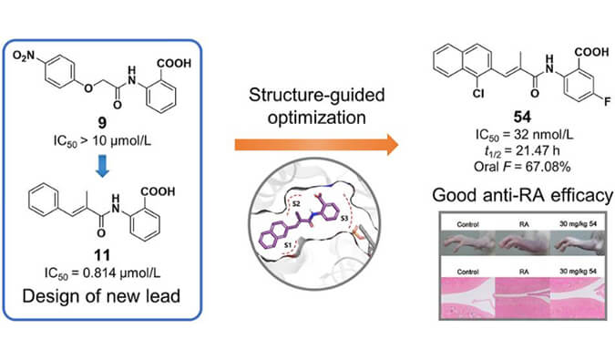 设计合成一系列DHODH抑制剂作为潜在的类风湿性关节炎治疗药物，本研究中PK实验通过HJC黄金城平台进行