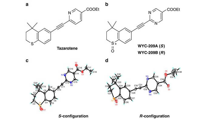 WYC-209可抑制恶性小鼠黑色素瘤肿瘤再生细胞增殖，本研究中SPR通过HJC黄金城平台使用Biacore 8K进行