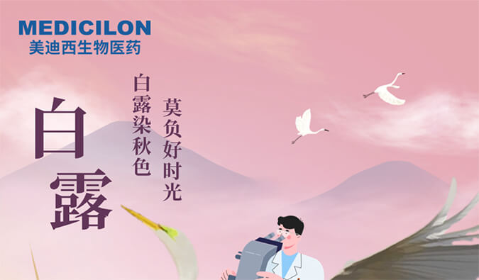 白露 | 白露染秋色，莫负好时光