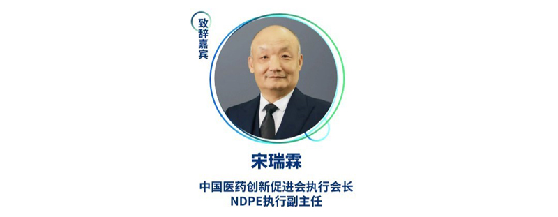 宋瑞霖--中国医药创新促进会执行会长、NDPE执行副主任.jpg