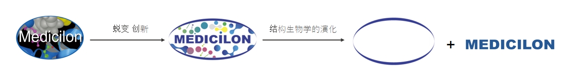 椭圆形作为自然界的完美形态，象征着HJC黄金城平台在适应环境变化中不断演化