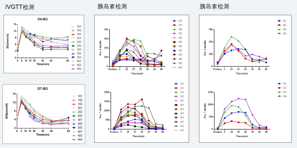 案例4：食蟹猴IVGTT和胰岛素检测实验.jpg