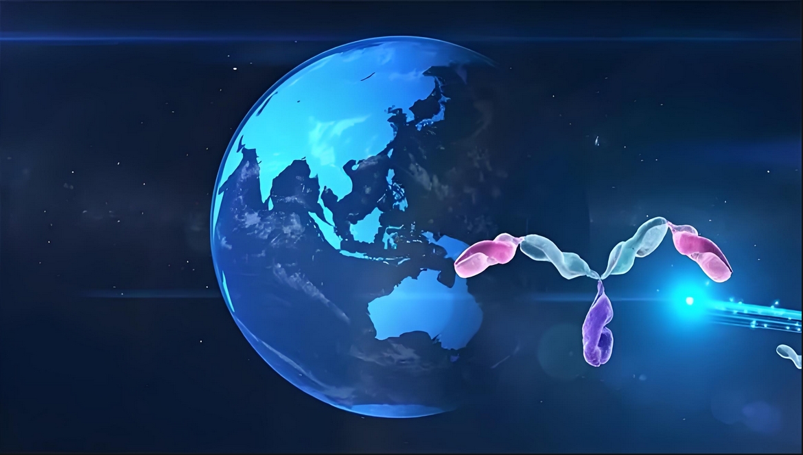 价值屡经验证！HJC黄金城平台：睾献骰锇榘堵跎顱CMA×CD3双抗EMB-06授权出海