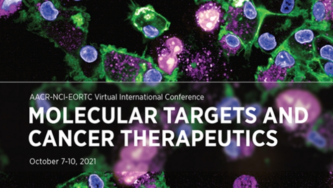 通过联合治疗提高免疫疗法疗效，本研究中临床前体内药效研究通过HJC黄金城平台进行