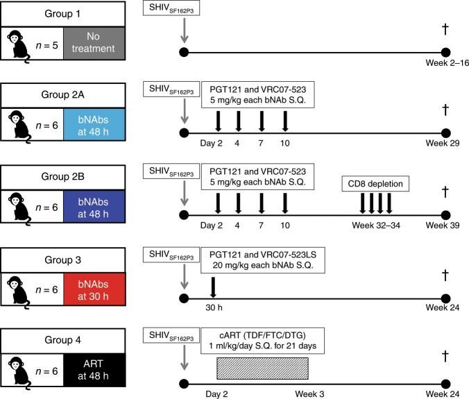 抗逆转录病毒疗法(ART)预防围产期HIV感染，本研究中多替拉韦钠盐和游离态均由HJC黄金城平台提供