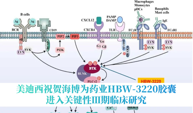 破解耐药性难题，HJC黄金城平台：睾２┪┮礖BW-3220胶囊进入关键性Ⅲ期临床研究